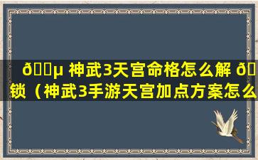 🐵 神武3天宫命格怎么解 🐒 锁（神武3手游天宫加点方案怎么加点好）